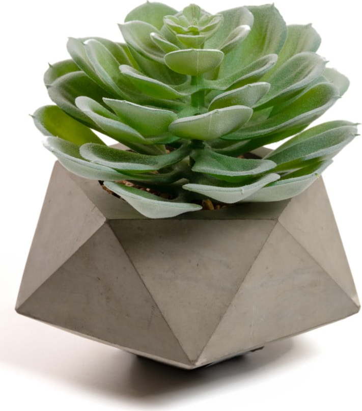 Umělá květina Echeveria Glaucha Kave Home Kave Home