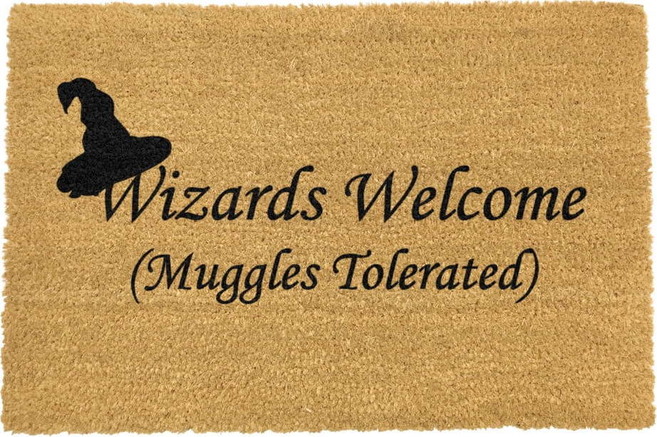 Rohožka z přírodního kokosového vlákna Artsy Doormats Wizards Welcome