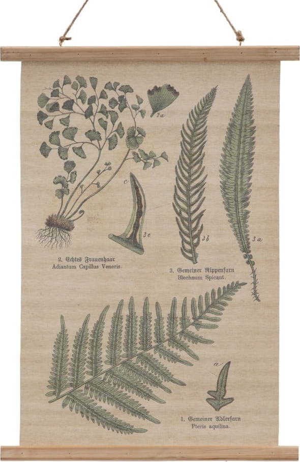 Tapiserie 50x70 cm Fern – Ixia Ixia