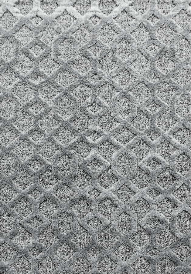 Šedý koberec 80x150 cm Pisa – Ayyildiz Carpets Ayyildiz Carpets