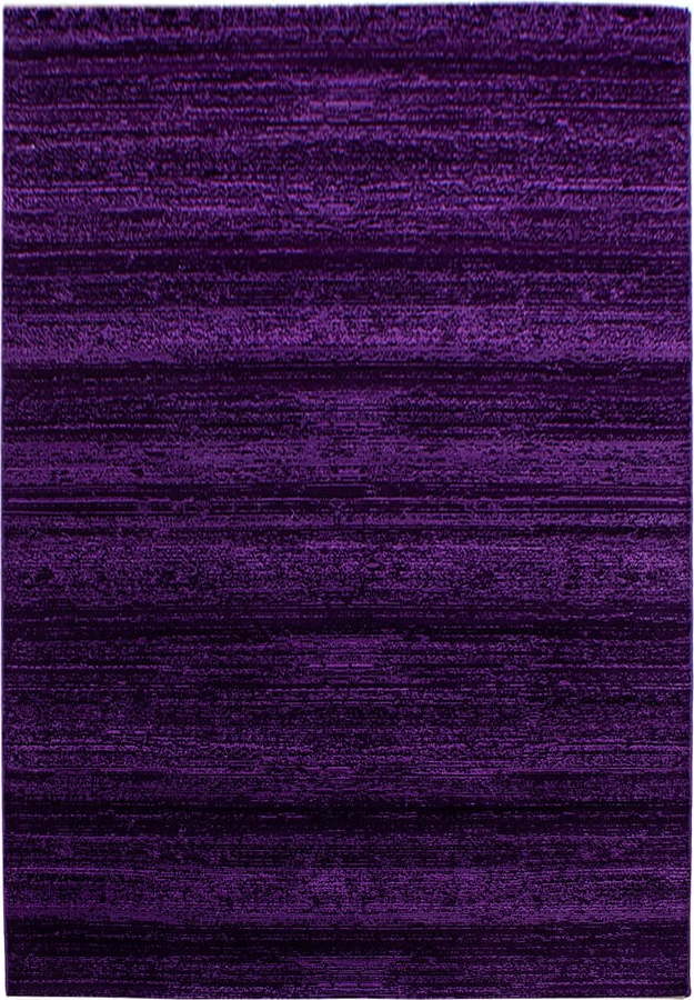 Tmavě fialový koberec 160x230 cm Plus – Ayyildiz Carpets Ayyildiz Carpets