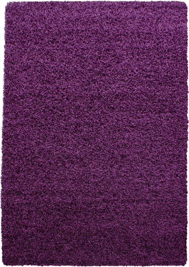 Tmavě fialový koberec 120x170 cm Life – Ayyildiz Carpets Ayyildiz Carpets